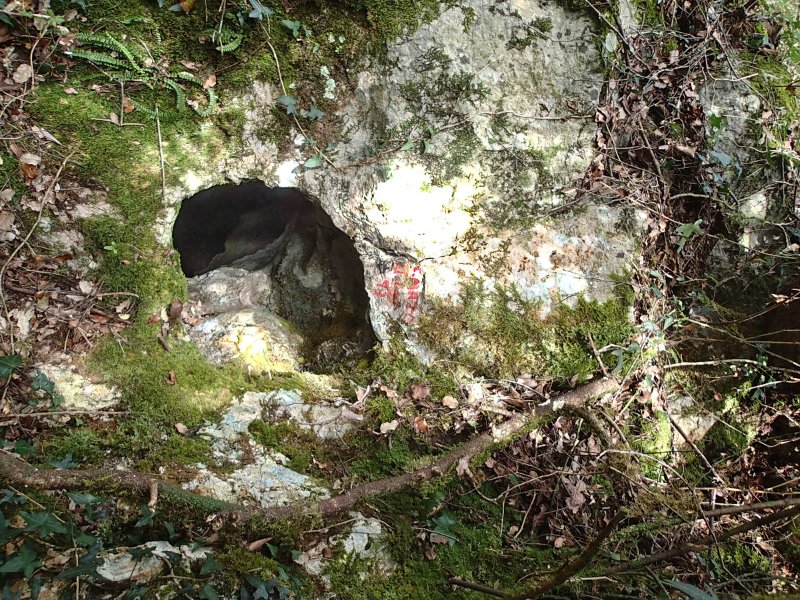 mazo 2 5136-ps-2021a-02.JPG
Fichier manquant